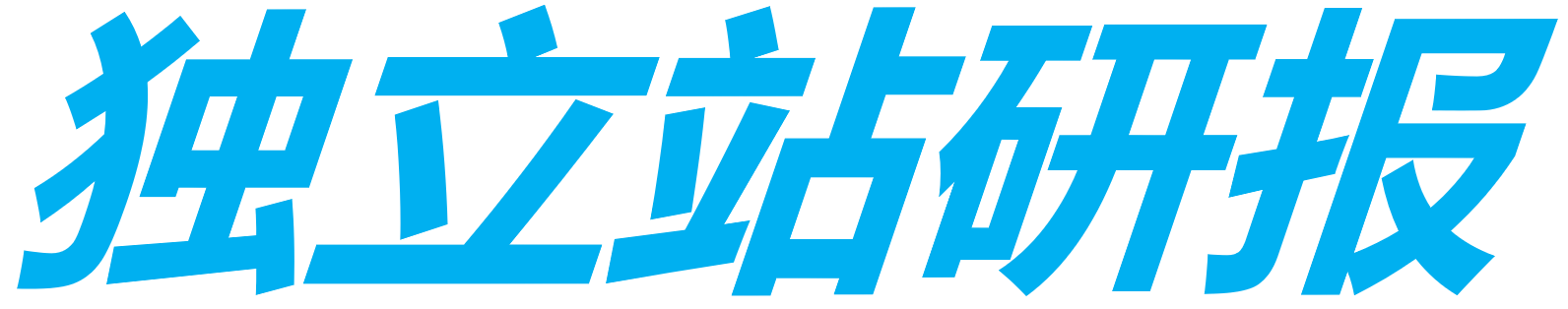 独立站研报-独立站SEO与营销优化实战手册